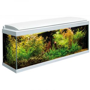 Acquario Milo 100 LED