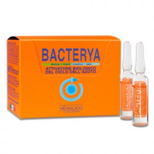 Equo Bacterya