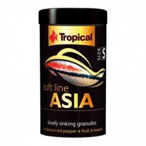 Tropical Soft line Asia size S