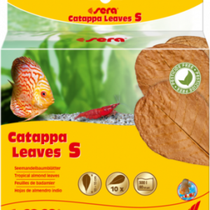 Sera Foglie di catappa S