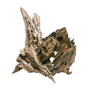 Legno Dragon wood