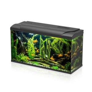 Simply LED 100 Set Acquario Acqua Dolce Completo Di Doppia Luce LED, Filtro E Riscaldatore 100L